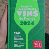 RVF Julien PINON 2024
